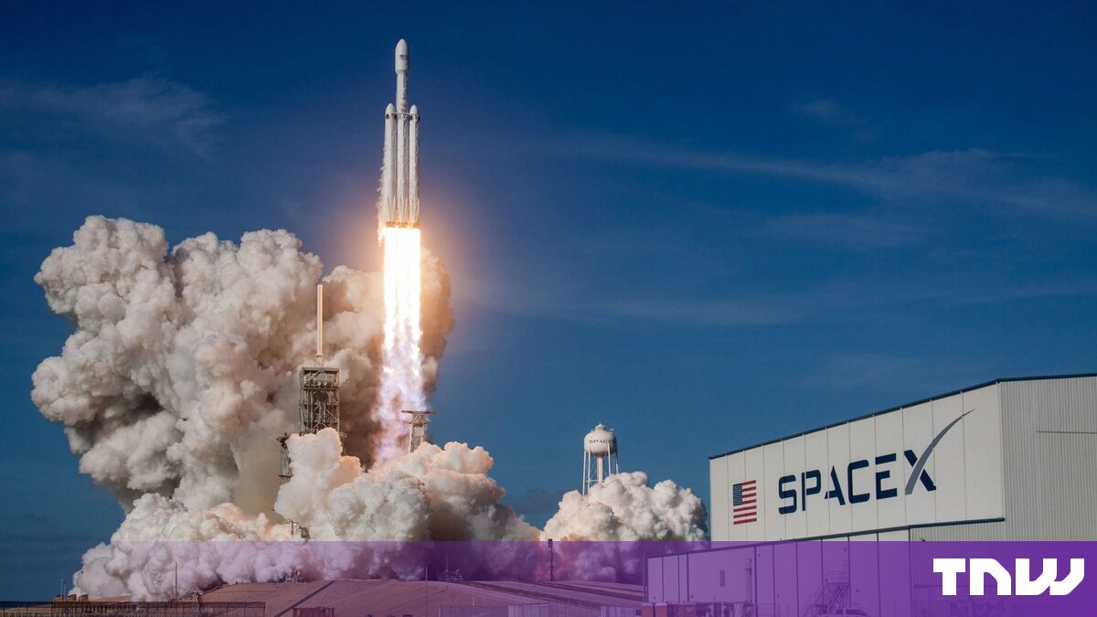 SpaceX launches Grok partner network with Apollo and Nvidia among early sign-ups